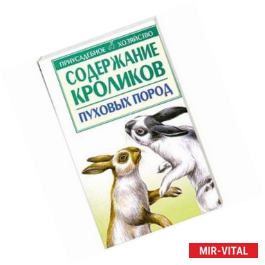 Фото Содержание кроликов пуховых пород