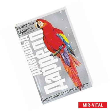 Фото Под пологом пьяного леса