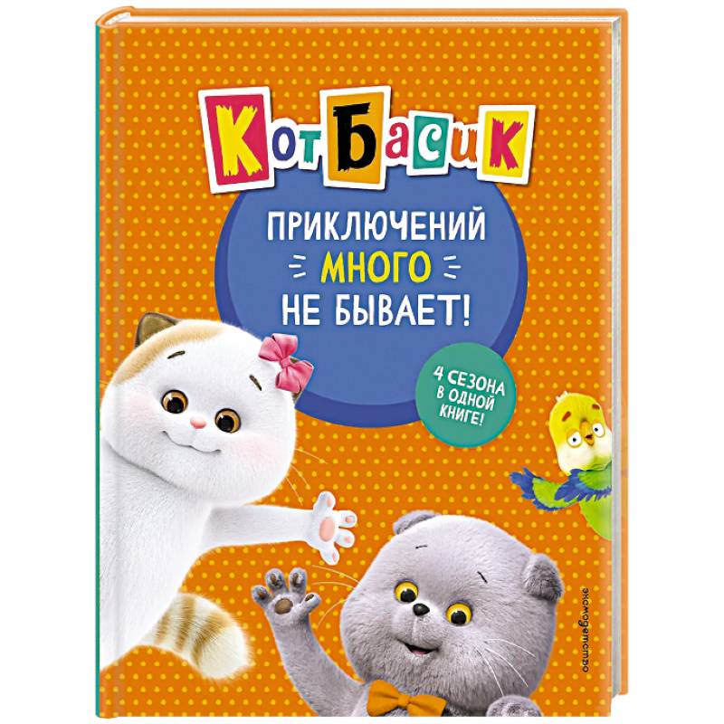 Фото Кот Басик. Приключений много не бывает!