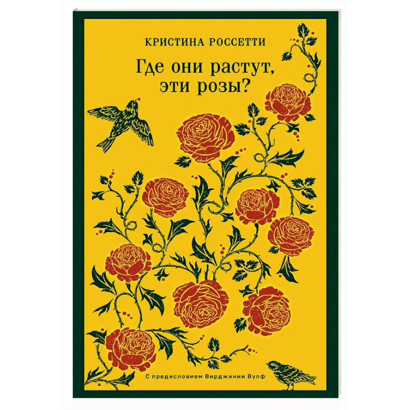 Фото Где они растут, эти розы?