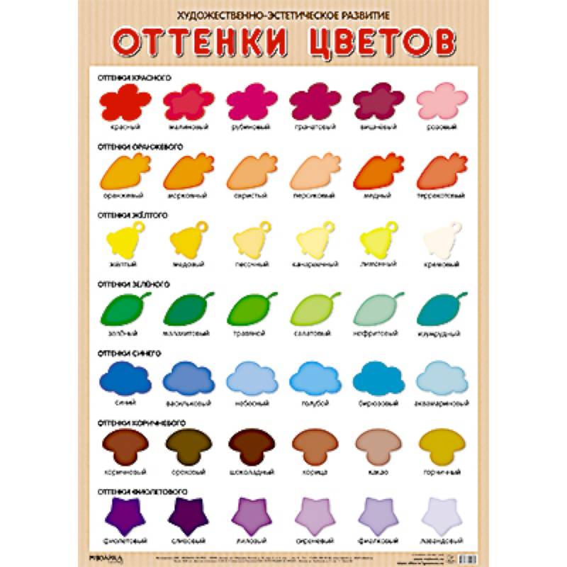 Фото Оттенки цветов