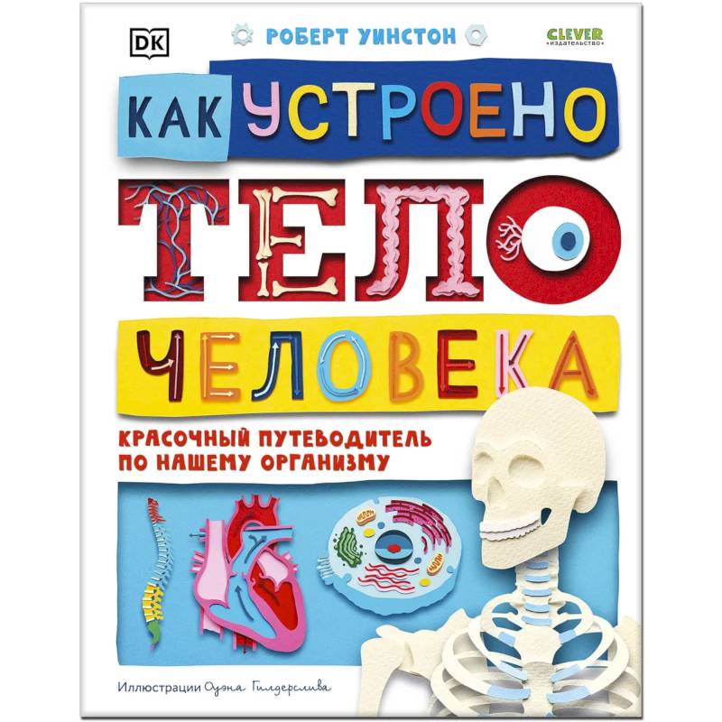 Фото Как устроено тело человека. Красочный путеводитель по нашему организму