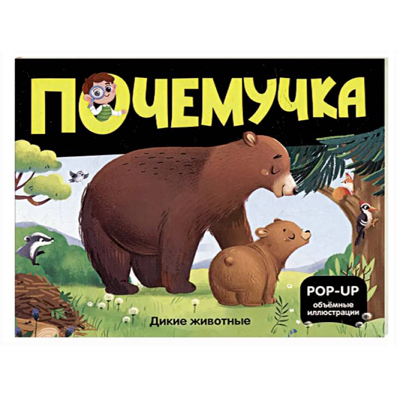 Фото Книжка с окошками. Секреты времени