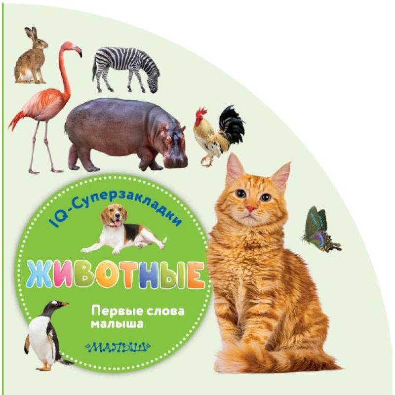 Фото Животные