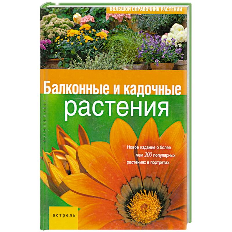 Фото Балконные и кадочные растения