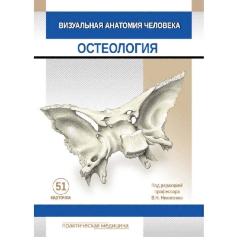 Фото Визуальная анатомия человека. КАРТОЧКИ. Остеология. 51 шт.