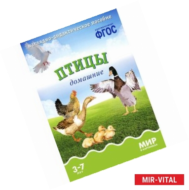Фото Птицы домашние. Наглядно-дидактическое пособие. Для детей 3-7 лет (набор карточек)