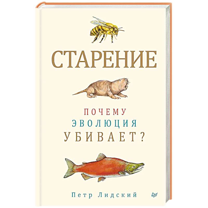 Фото Старение: почему эволюция убивает?
