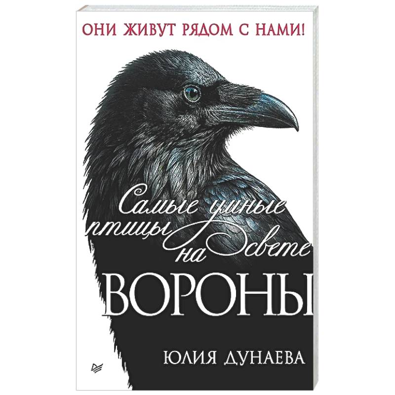 Фото Самые умные птицы на свете. Вороны