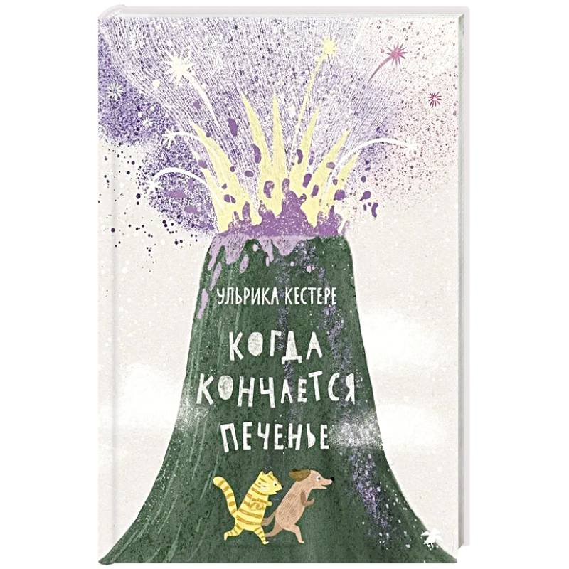 Фото Когда кончается печенье