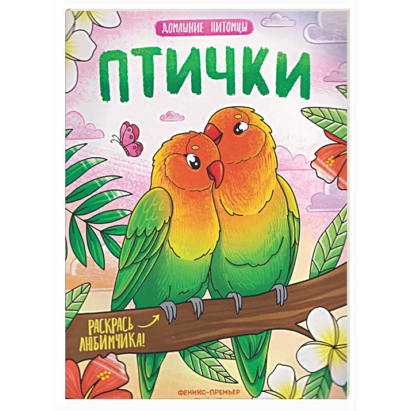 Фото Птички: книжка-раскраска