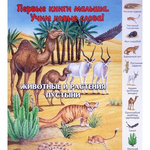 Фото Животные и растения пустыни