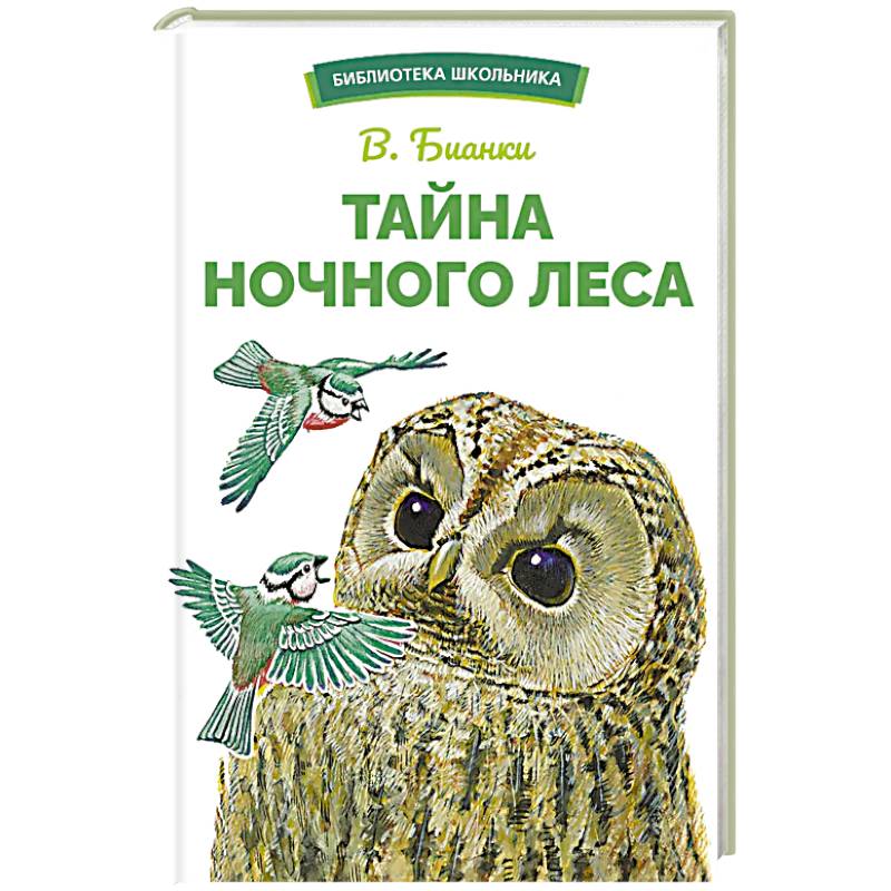 Фото Тайна ночного леса