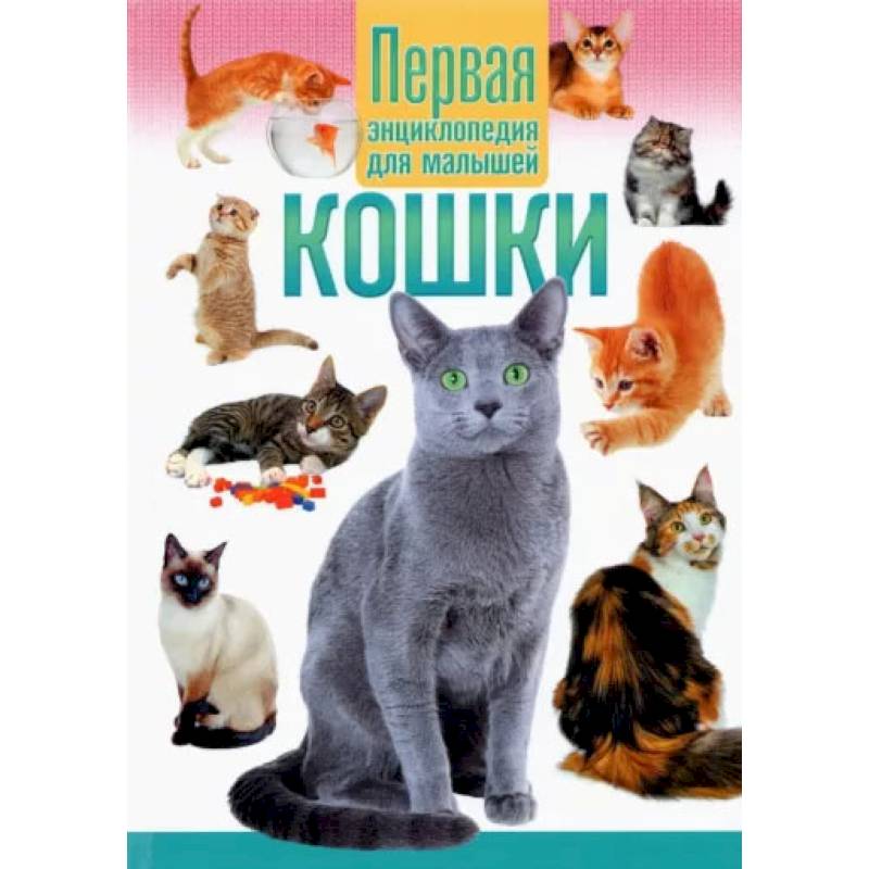 Фото Кошки.Первая энциклопедия для малышей.