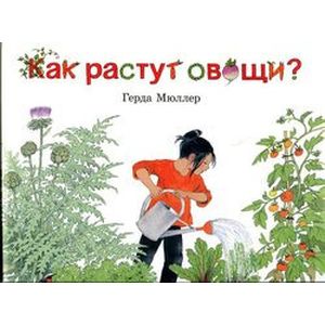 Фото Как растут овощи?