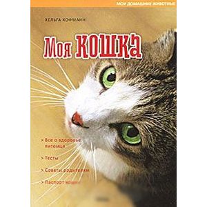 Фото Моя кошка