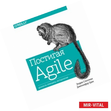 Фото Постигая Agile. Ценности, принципы, методологии