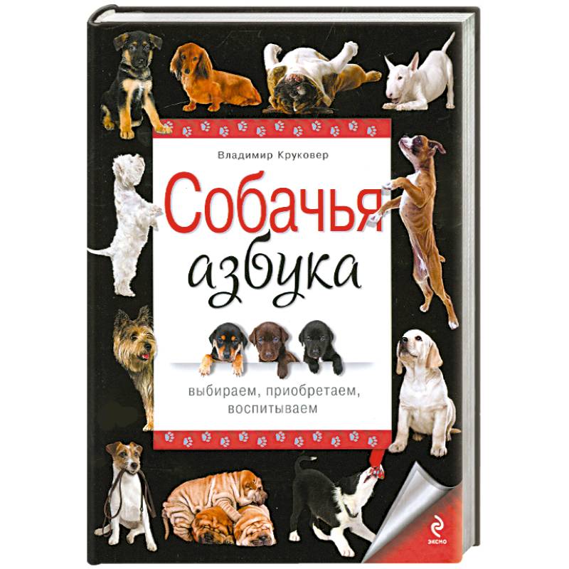 Фото Собачья азбука. Выбираем, приобретаем, воспитываем
