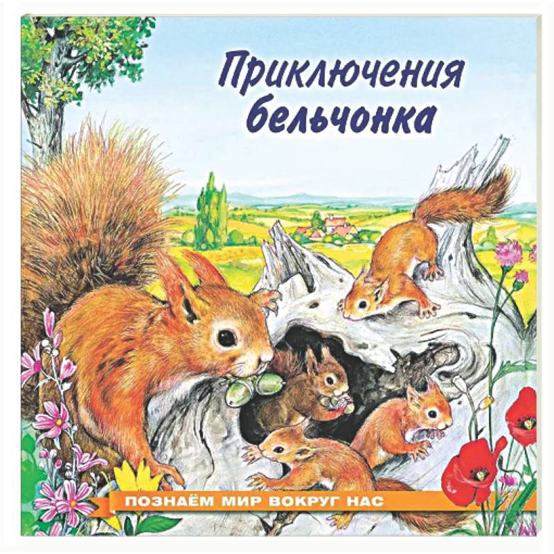 Фото Приключения бельчонка