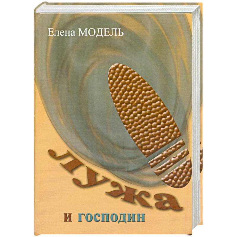Фото Лужа и господин