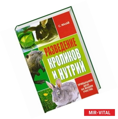 Фото Разведение кроликов и нутрий