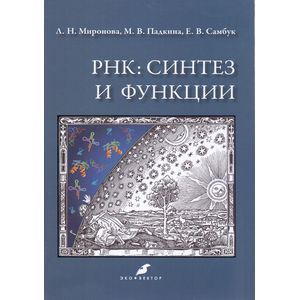 Фото РНК: синтез и функции