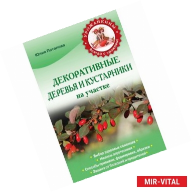 Фото Декоративные деревья и кустарники на участке