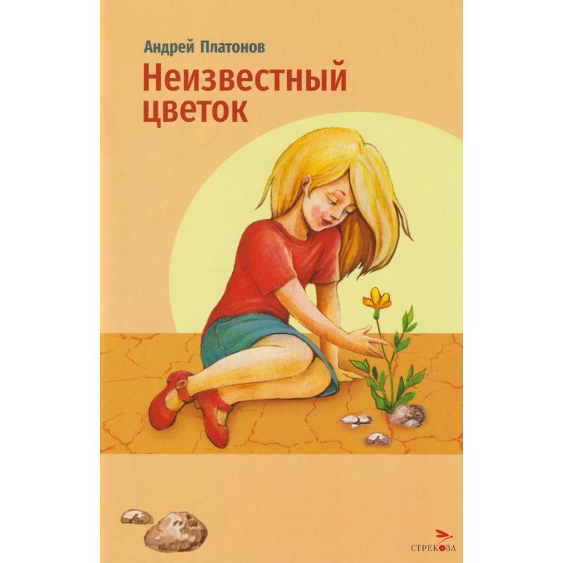 Фото Неизвестный цветок