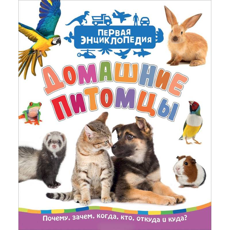 Фото Домашние питомцы