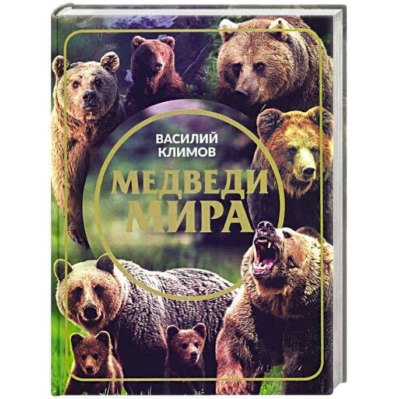 Фото Медведи мира