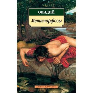 Фото Метаморфозы