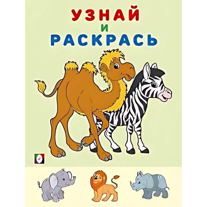 Фото Зебра