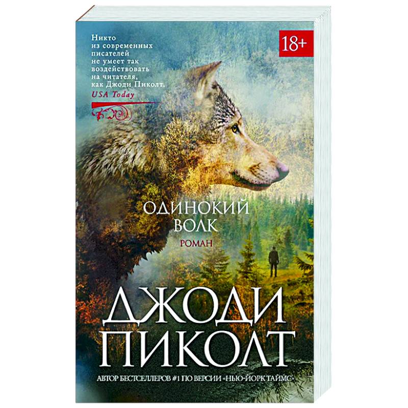 Фото Одинокий волк