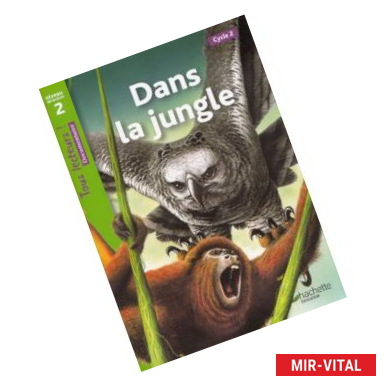 Фото Dans la jungle, Niveau 2