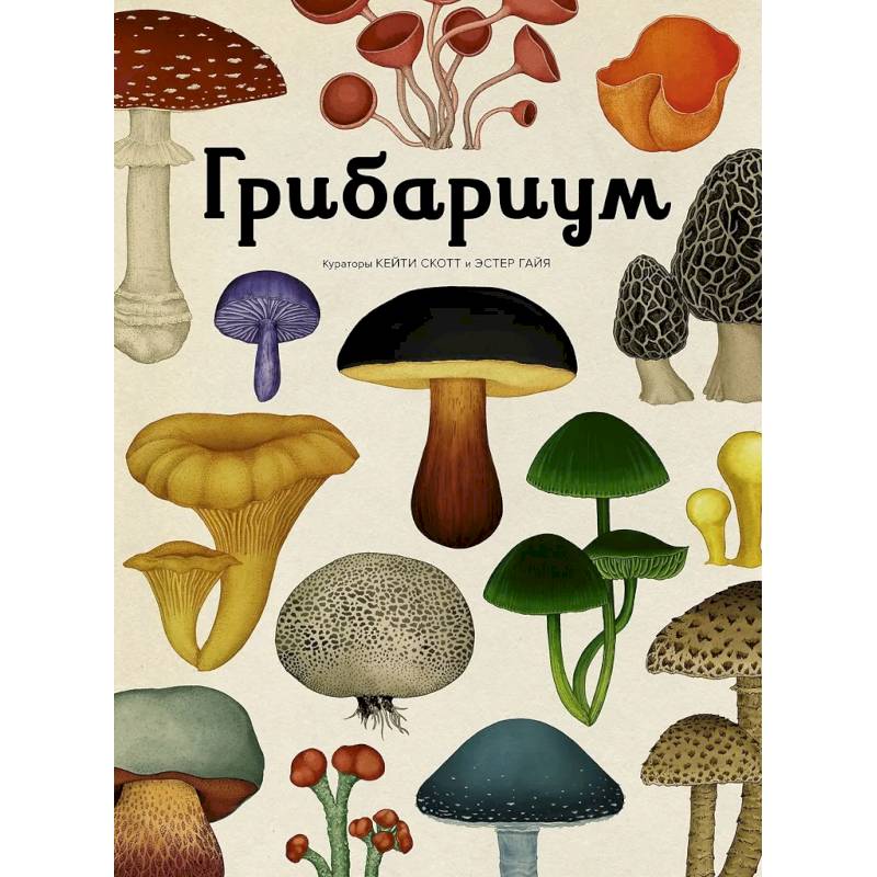 Фото Грибариум