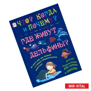 Фото Где живут дельфины? И чего мы не знаем о самых общительных животных