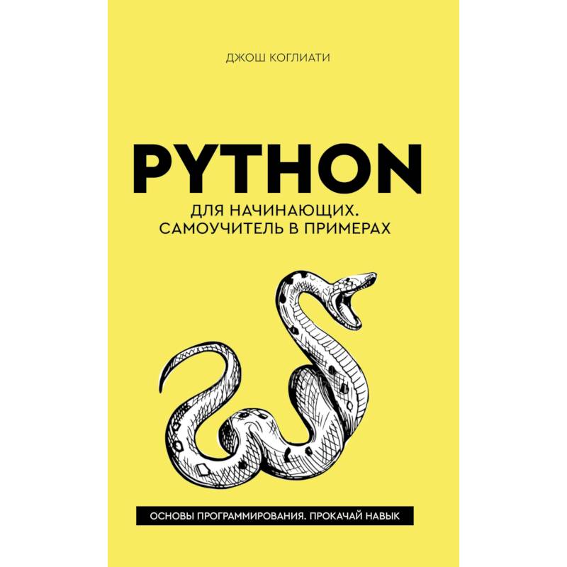 Фото Python для начинающих. Самоучитель в примерах