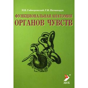 Фото Функциональная анатомия органов чувств