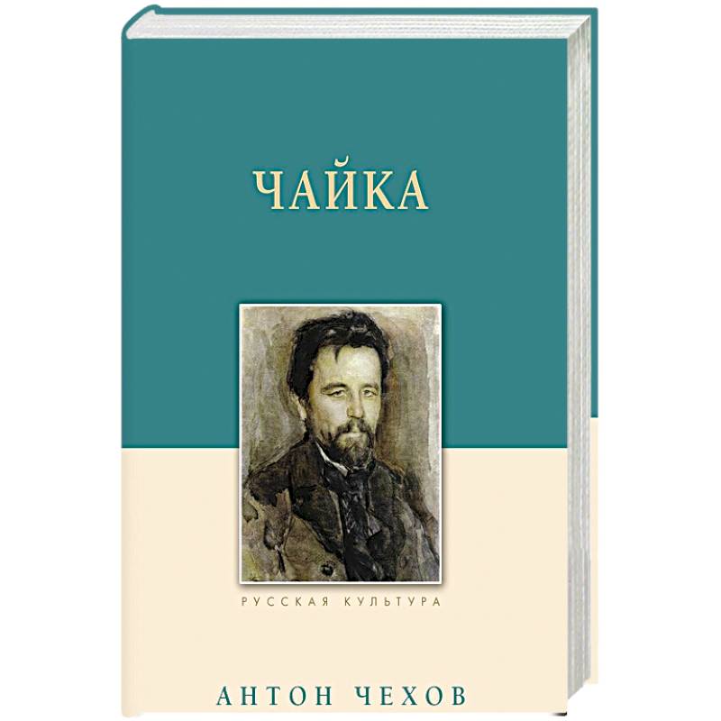 Фото Чайка