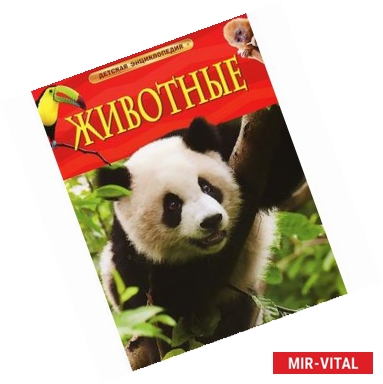 Фото Животные