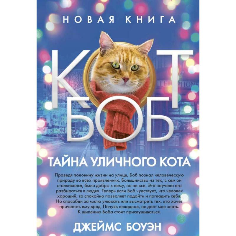 Фото Тайна уличного кота