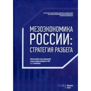 Фото Мезоэкономика России. Стратегия разбега. Монография