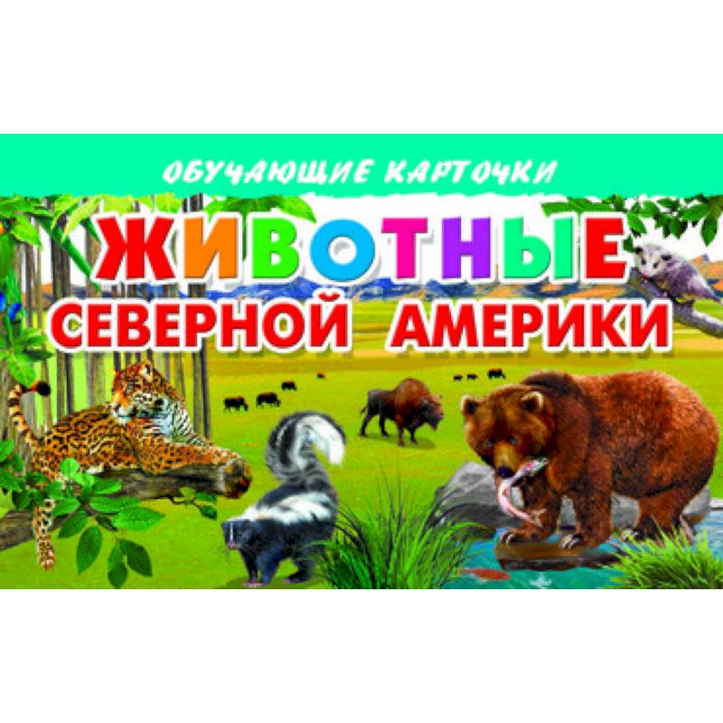 Фото Карточки. Животные Северной Америки