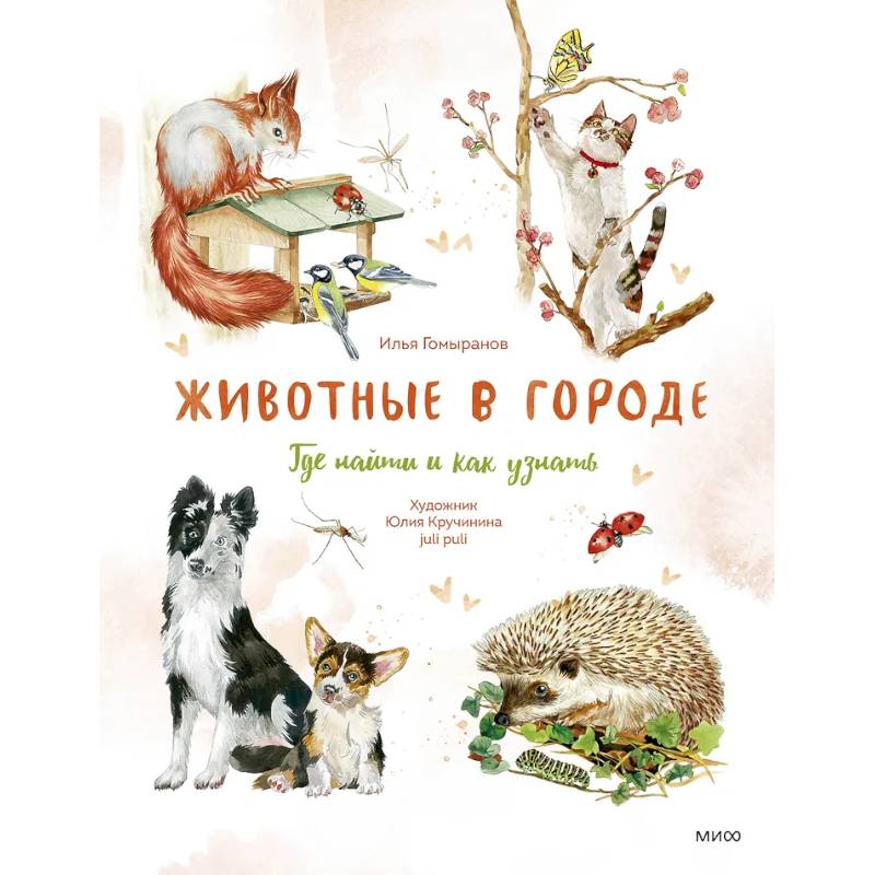 Фото Животные в городе. Где найти и как узнать