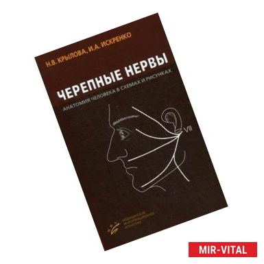 Фото Черепные нервы. Анатомия человека в схемах и рисунках. Атлас-пособие. Гриф УМО по медицинскому образованию