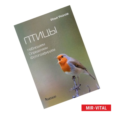 Фото Птицы. Наблюдаем, определяем, фотографируем