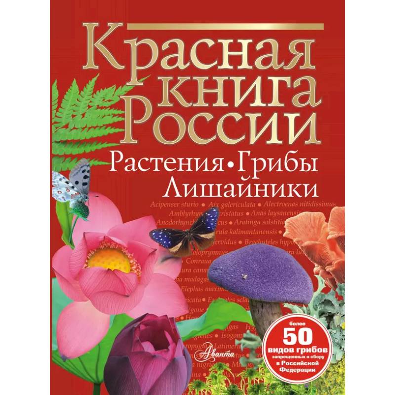 Фото Красная книга России. Растения Грибы Лишайники