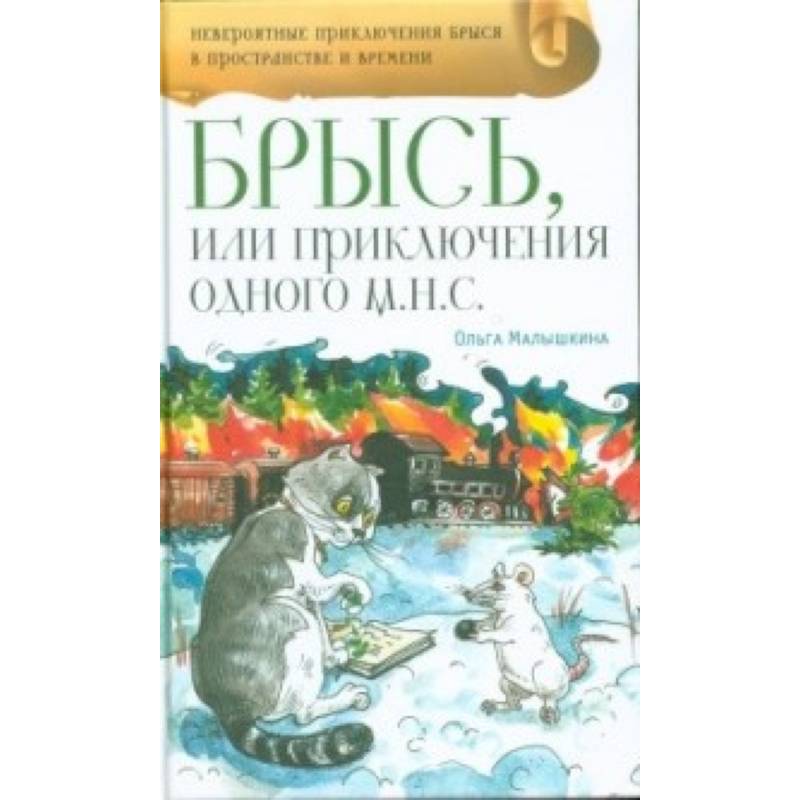 Фото Брысь, или Приключения одного м.н.с.