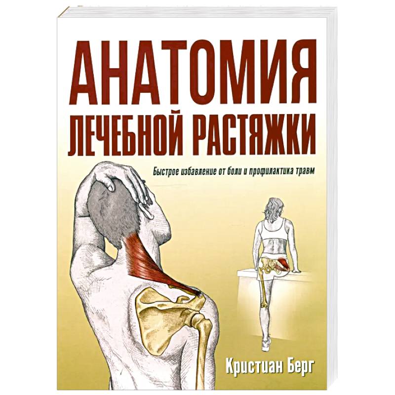 Фото Анатомия лечебной растяжки. Быстрое избавление от боли и профилактика травм