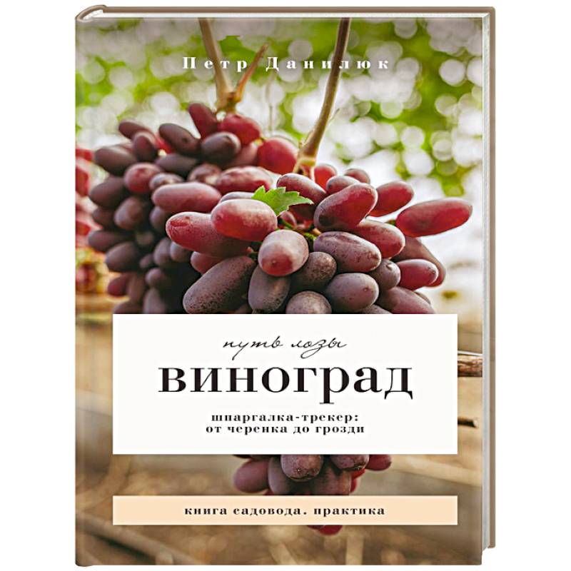 Фото Виноград. Путь лозы. Шпаргалка-трекер: от черенка до грозди